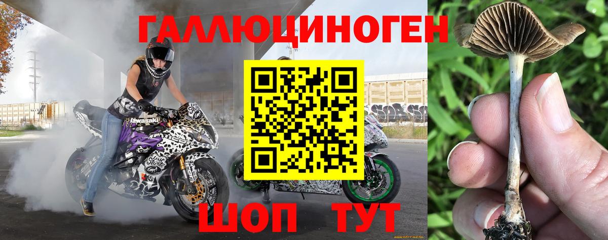 Пушкино  Псилоцибиновые грибы ЛСД  Вход с VPN 